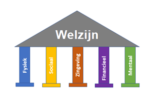 De vijf pijlers van welzijn: fysiek, sociaal, zingeving, financieel en mentaal.